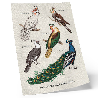 Art print Elegant birds, feathers, diverse colors