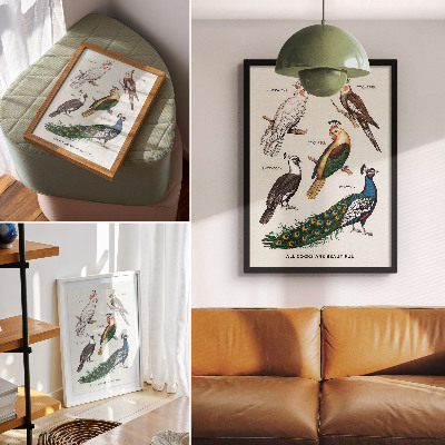 Art print Elegant birds, feathers, diverse colors