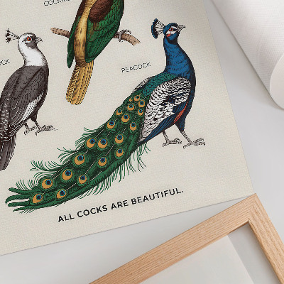 Art print Elegant birds, feathers, diverse colors