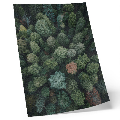 Premium wall art Forest landscape from above with various leaf colors
