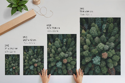 Premium wall art Forest landscape from above with various leaf colors