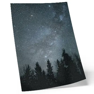 Poster a night sky full of stars and tree silhouettes