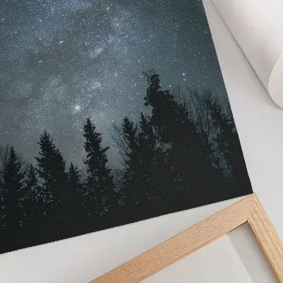 Poster a night sky full of stars and tree silhouettes