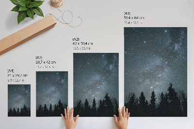 Poster A night sky full of stars and silhouettes of trees