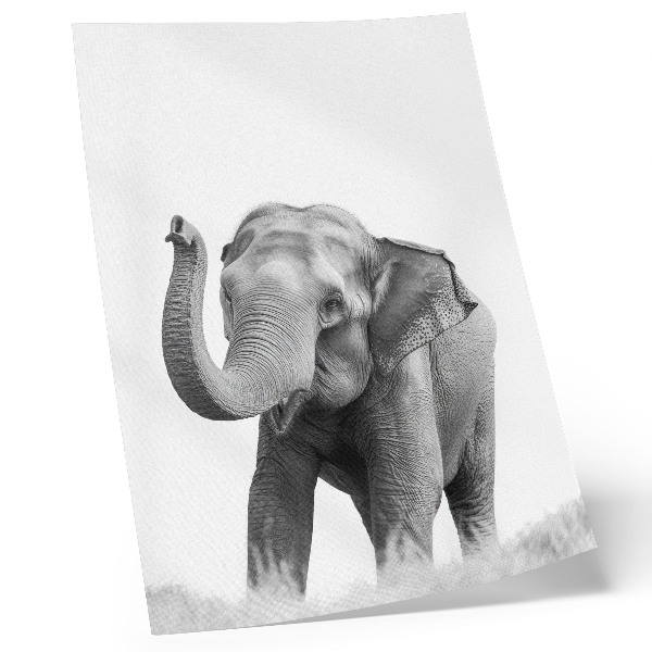 Art print Monochrome elephant with raised trunk