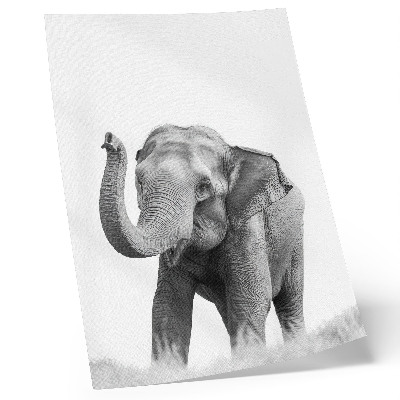 Art print Monochrome elephant with raised trunk