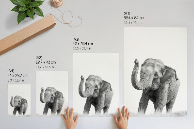Art print Monochrome elephant with raised trunk
