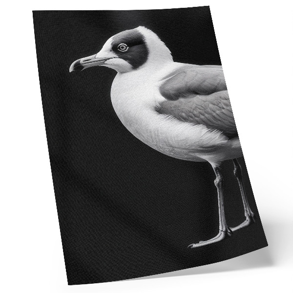 Decorative poster Minimalist style contrast black and white bird