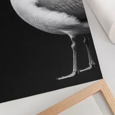 Decorative bird poster minimalist black and white contrast design