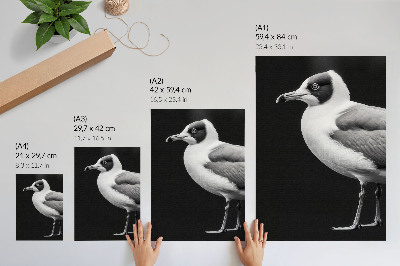 Decorative poster Minimalist style contrast black and white bird