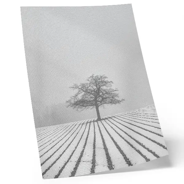 Poster minimalist winter landscape with a tree in the snow