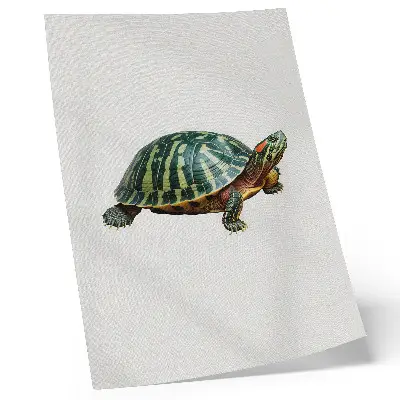 Art print featuring a green turtle with nature harmony details