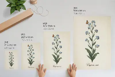 Decorative poster featuring forget-me-nots and a butterfly on a cream background