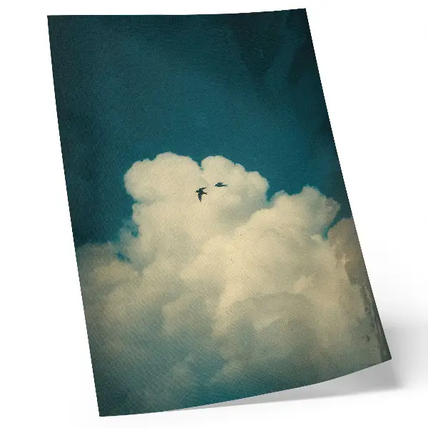 Poster white clouds and two birds in a turquoise sky