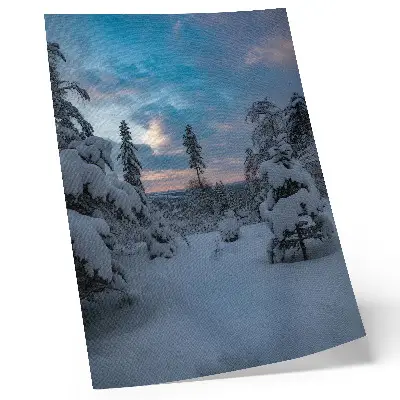 Art print snow-covered trees in a picturesque landscape
