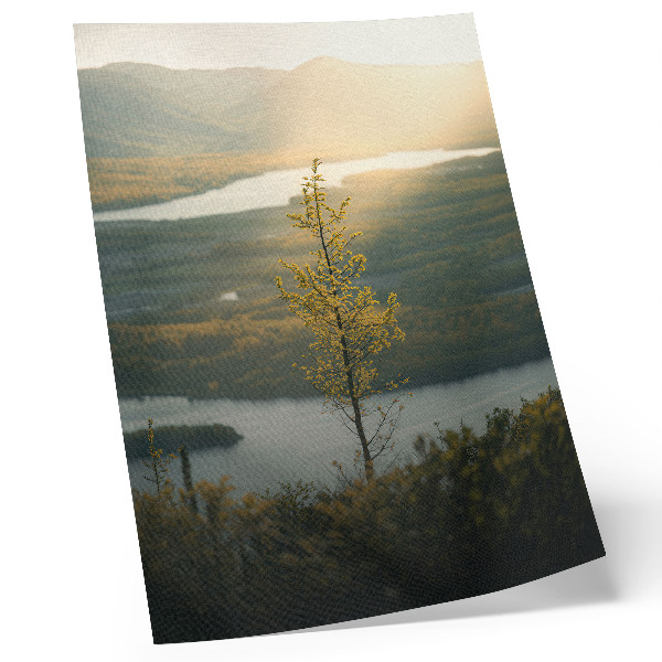 Art print A delightful, peaceful valley with a tree in the center