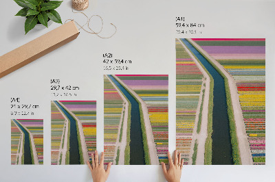 Art print Colorful stripes of flowers along the canal