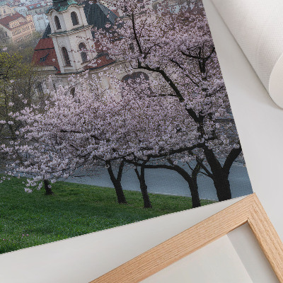 Decorative poster The city in spring is full of flowering trees and church towers