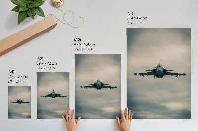 Monochrome Fighter in Flight Wall Art dynamic frame print