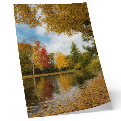 Premium wall art colorful trees by the lake in an autumn mood