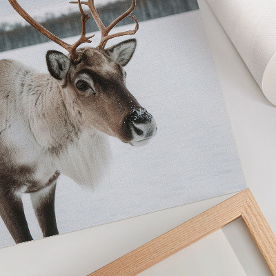 Poster Reindeer in a winter landscape with beige fur