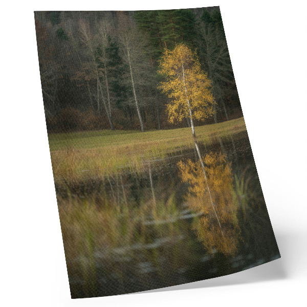 Decorative poster A golden tree against the backdrop of a dark forest and lake