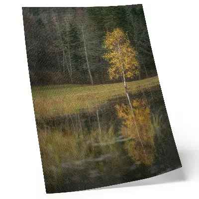 Decorative poster golden tree against a dark forest and lake