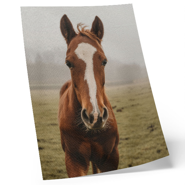 Art print Warm browns and white horses in perspective