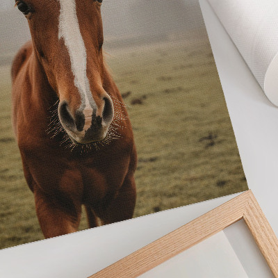 Art print Warm browns and white horses in perspective