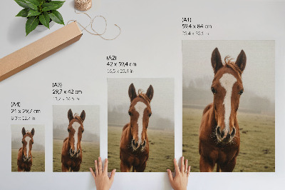 Art print Warm browns and white horses in perspective