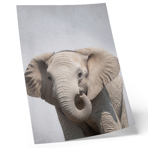 Art print A young elephant on a light background