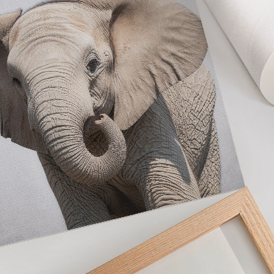 Art print A young elephant on a light background
