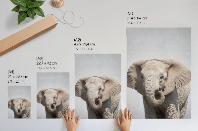 Art print A young elephant on a light background