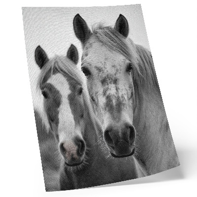 Art print Horses in a monochromatic shot full of elegance