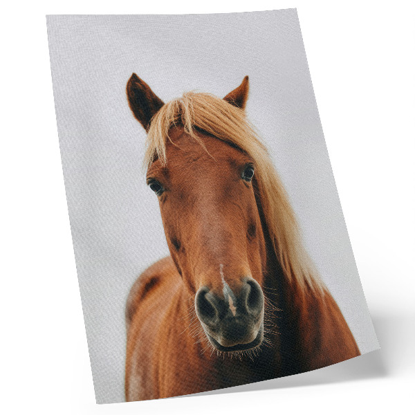 Art print Horse portrait minimalism natural beauty elegance