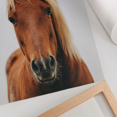 Art print Horse portrait minimalism natural beauty elegance
