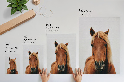 Art print Horse portrait minimalism natural beauty elegance