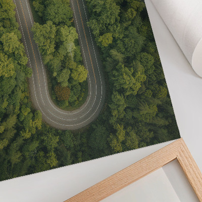 Decorative poster A narrow, winding road through the green forest