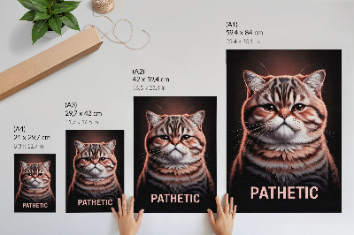 Poster Portrait of a cat with distinct fur and a deep gaze