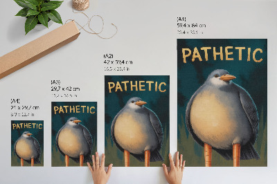 Premium wall art Funny bird unusual colors turquoise background