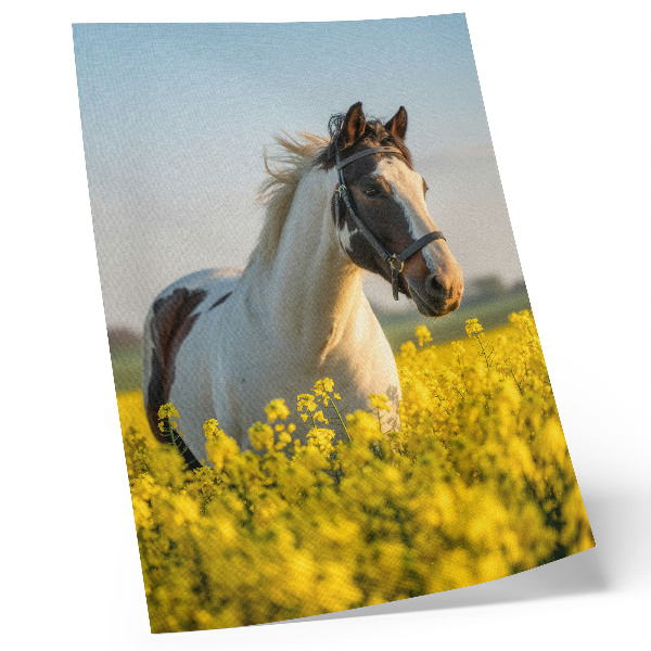 Premium wall art An elegant horse in a spring field full of flowers