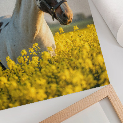 Premium wall art An elegant horse in a spring field full of flowers