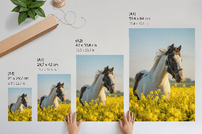 Premium wall art An elegant horse in a spring field full of flowers