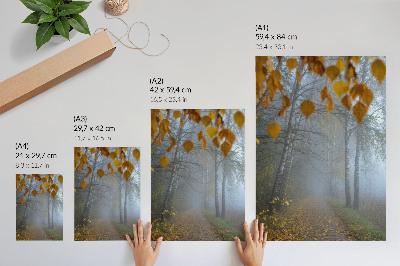 Decorative poster Foggy autumn forest birch trees yellow leaves