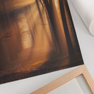 Poster Magical light forest trees sun rays peace