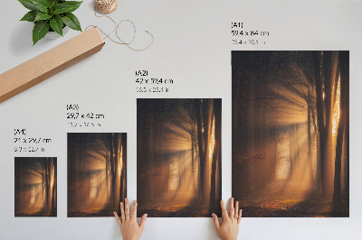 Poster Magical light forest trees sun rays peace