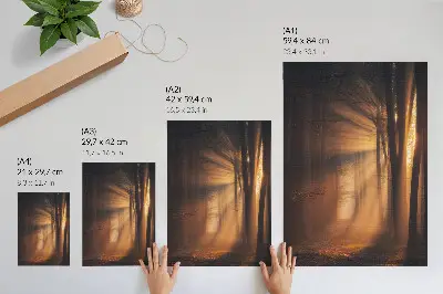 Poster magical sun rays in a peaceful forest