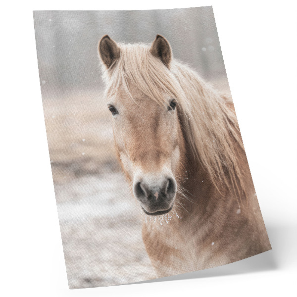 Decorative poster Horse winter gentle colors peace nature