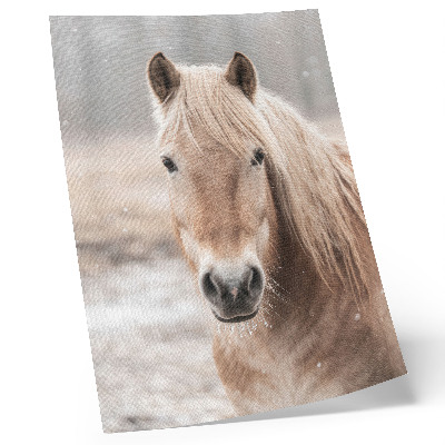 Decorative poster Horse winter gentle colors peace nature