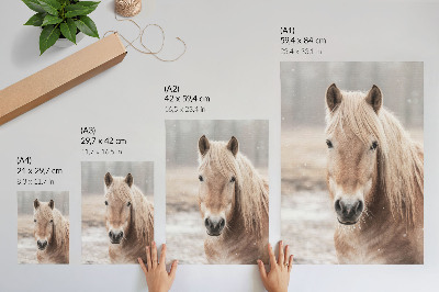 Decorative poster Horse winter gentle colors peace nature